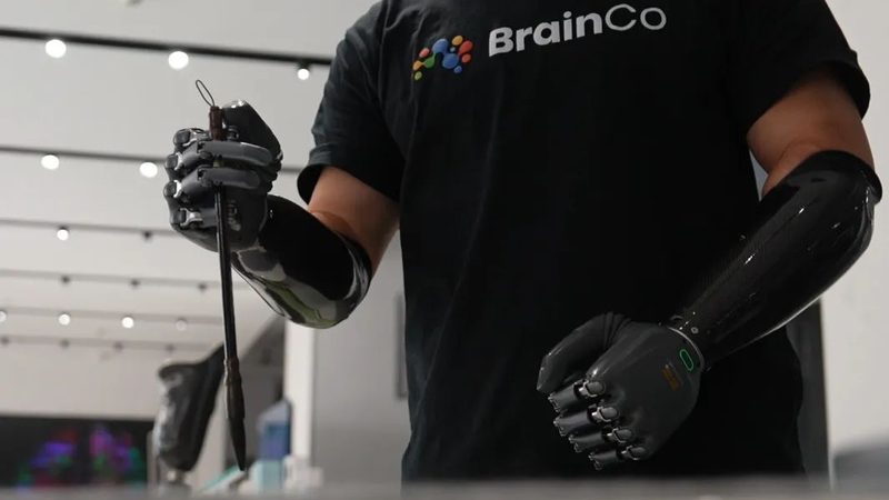 企业级搜索工具：助力行业信息管理的智能利器**
