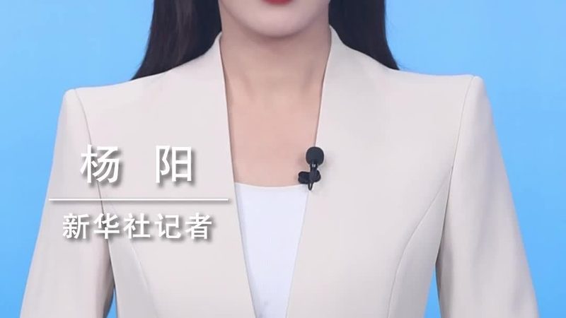 数据仓库工具的选型逻辑：如何找到最适合您的解决方案**